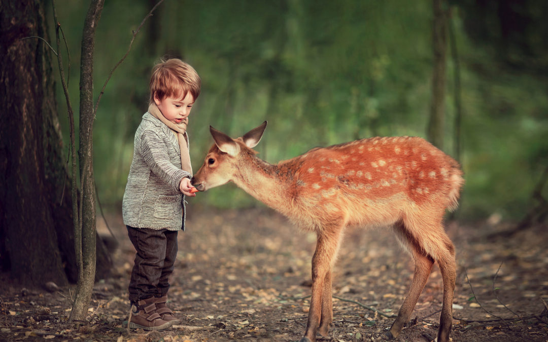 Karen’s Co-Parenting Blog Posts (additional posts!!) Featured